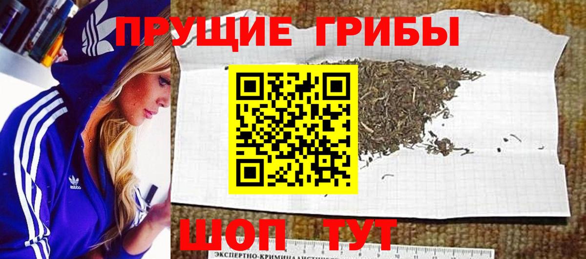 купить наркотики сайты  Галлюциногенные грибы мицелий  Вход с VPN  Галлюциногенные грибы прущие грибы  Ханты-Мансийск 